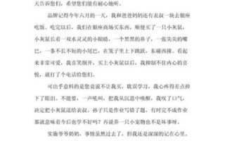 小学生500字作文怎么写_如何写500字作文