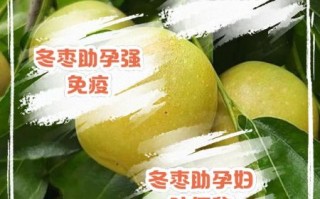 冬枣孕妇能吃吗_孕妇吃冬枣注意事项