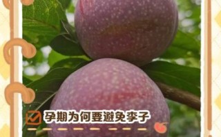 孕妇能吃李子吗_李子对胎儿的好处