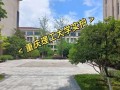 重庆理工大学怎么样_就业前景好吗
