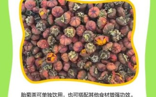 孕妇喝菊花茶对胎儿有影响吗_孕期菊花茶安全指南