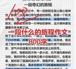 一段什么的旅程作文怎么写_如何写出高分范文