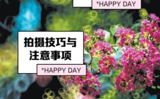 折返镜头缺点有哪些_折返镜头为什么不适合拍人像