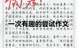 一次有趣的尝试作文怎么写_如何写出高分记叙文