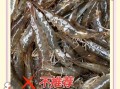 孕妇能吃基围虾吗_怀孕吃虾注意事项