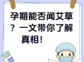 孕妇能闻艾草吗_艾草对孕妇有影响吗