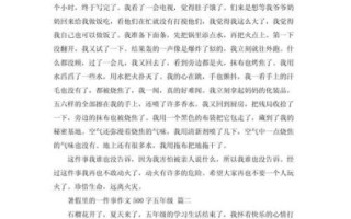 暑假趣事作文500字怎么写_暑假趣事有哪些素材