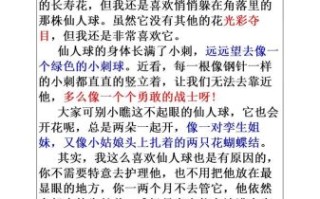 仙人掌怎么写作文_仙人掌作文写作技巧