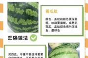 西瓜怎么挑选才甜_西瓜怎么保存时间长