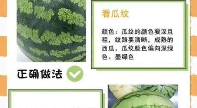西瓜怎么挑选才甜_西瓜怎么保存时间长