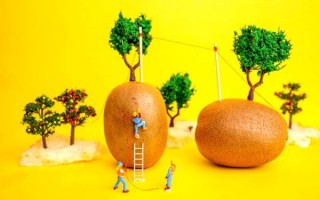 如何拍摄创意镜头_创意镜头拍摄技巧