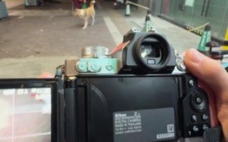 尼康1650镜头值得买吗_适合拍什么题材