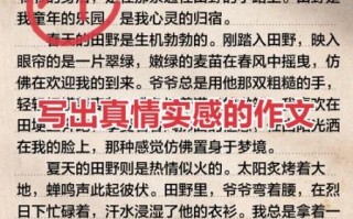 什么是学会了理解作文_如何写出真情实感