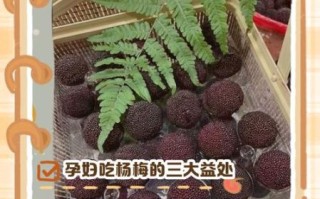 孕妇吞了杨梅核怎么办_对胎儿有影响吗