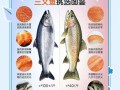 孕妇可以吃三文鱼吗_三文鱼孕妇每周吃几次