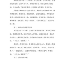 小狗作文怎么写_如何描写小狗的可爱