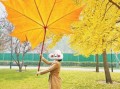枫叶镜头适合拍什么_枫叶镜头怎么选