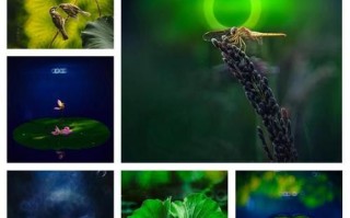 折返镜头怎么用_折返镜头拍摄技巧