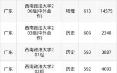 西南政法大学录取分数线_多少分能上