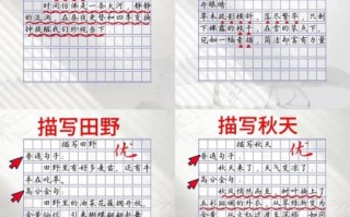 金笔作文怎么写_金笔作文写作技巧有哪些