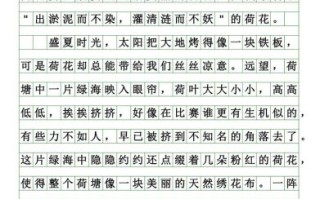 五年级上册五单元作文怎么写_如何把事物写具体