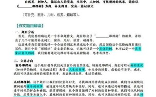 那截树枝作文怎么写_那截树枝600字写作技巧