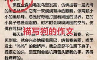 我家的小狗作文怎么写_如何描写小狗的可爱瞬间