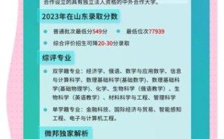 深圳北理莫斯科大学怎么样_录取分数线是多少