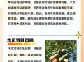 孕妇能吃木瓜吗_木瓜对孕妇的影响