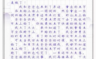 作文日记怎么写_如何写出高分日记