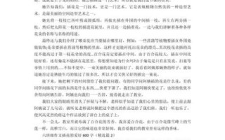 什么是插叙作文_如何写好插叙作文600字