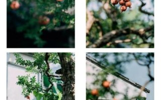 70200镜头适合拍风景吗_70200镜头风景拍摄技巧