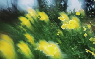 湿点镜头是什么_湿点镜头怎么拍