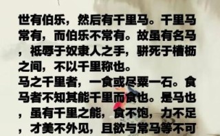 千里马为什么需要伯乐_如何成为伯乐