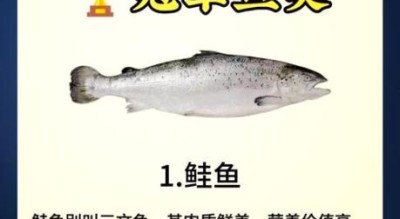 孕妇吃鱼对胎儿好吗_孕妇吃什么鱼最安全