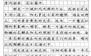 初中作文怎么写_如何写好初中作文