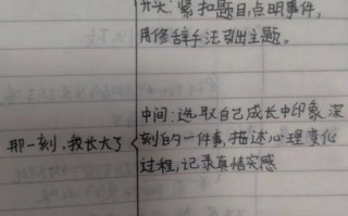 如何写好一篇作文_作文提纲模板怎么写