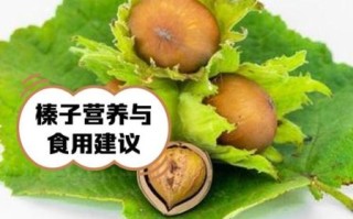 孕妇可以吃榛子吗_孕期吃榛子注意事项