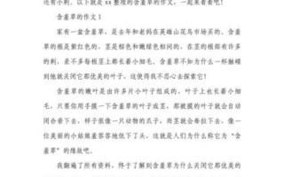 含羞草为什么会害羞_含羞草作文怎么写