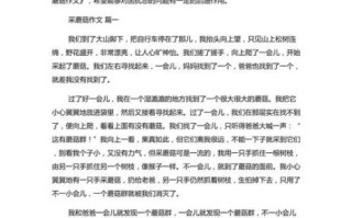 捡蘑菇作文怎么写_如何描写森林细节