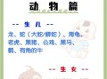 孕妇梦见老鼠是胎梦吗_孕妇梦见老鼠预示什么