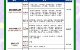 四川大学中外合作办学怎么样_四川大学中外合作办学学费
