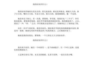 伙伴作文怎么写_如何写200字伙伴作文