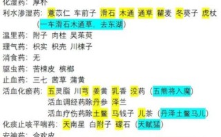 孕妇慎用是什么意思_孕妇慎用药物有哪些