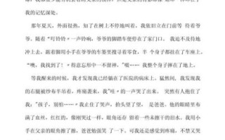 父亲的背影_如何写高中作文