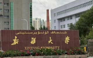 新疆大学是985还是211_新疆大学双一流名单