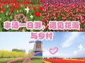 郁金香高地门票多少钱_郁金香高地最佳观赏时间