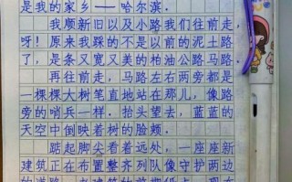 五年级上册第四单元作文怎么写_如何写具体生动
