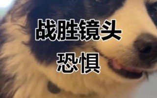 镜头恐惧症怎么克服_害怕镜头怎么办