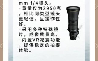尼康打鸟镜头推荐_打鸟用什么尼康镜头好